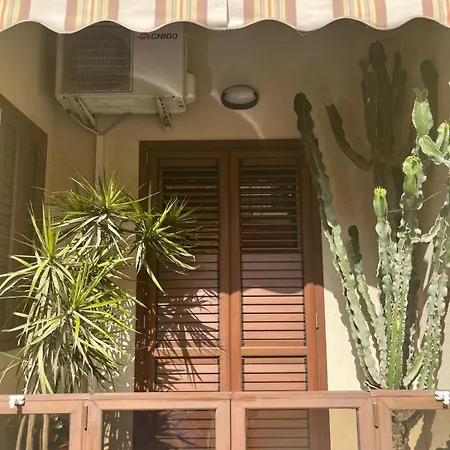 Polina Maison * Avola